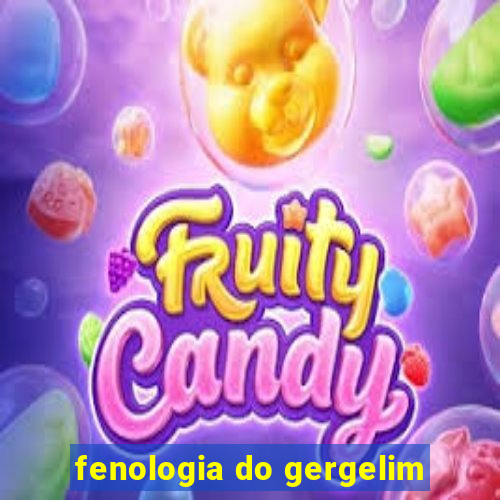 fenologia do gergelim